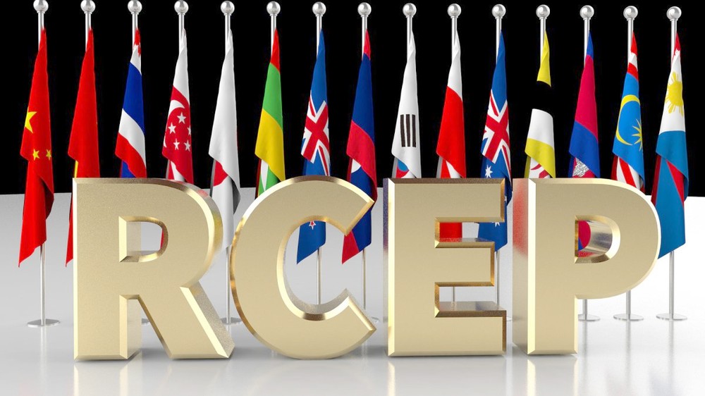 推动 RCEP 成员国开展务实有效合作