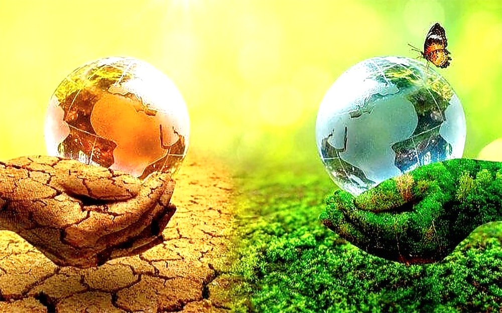 南非启动首个沿海气候变化适应计划