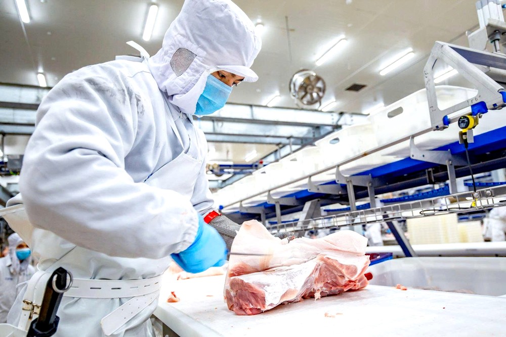 本市现有6个猪只屠宰单位，其中5个为集中式现代屠宰厂。