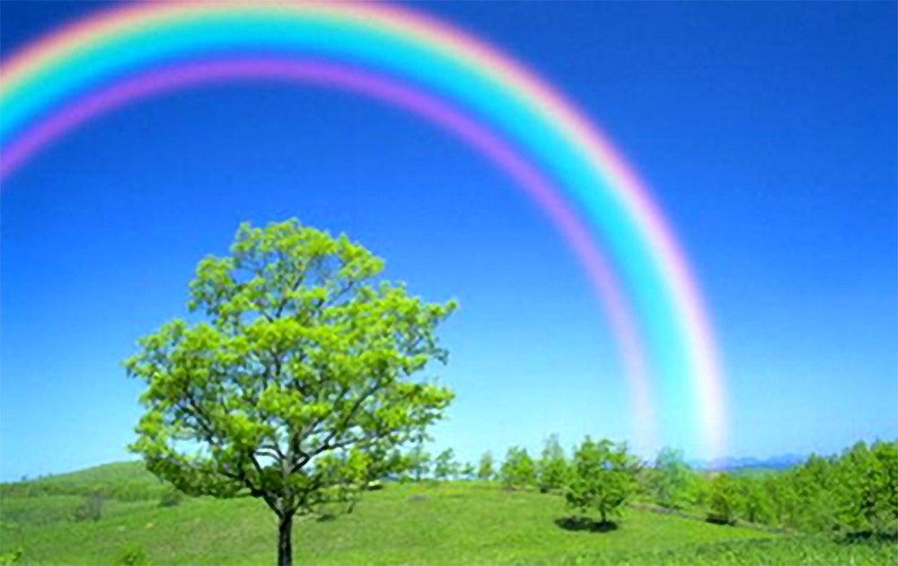 理想的彩虹