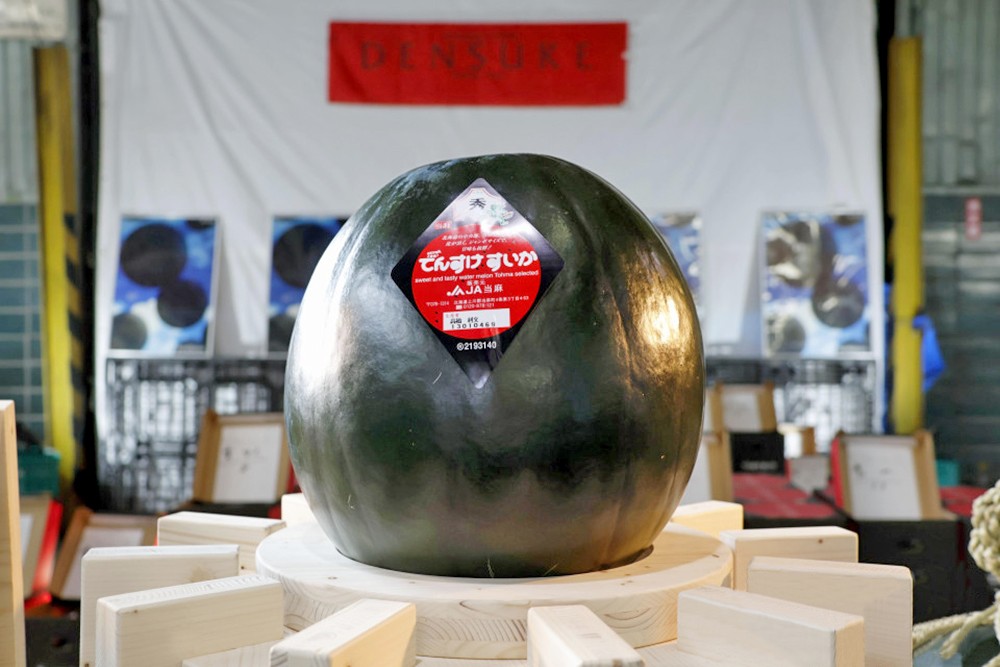 日本“田助西瓜”首拍最高价 70 万日元