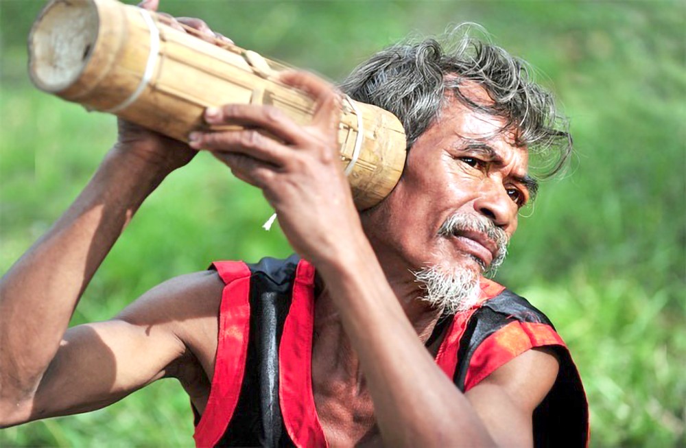 扎比琴是原宁顺省拉格莱族独特的传统乐器之一。