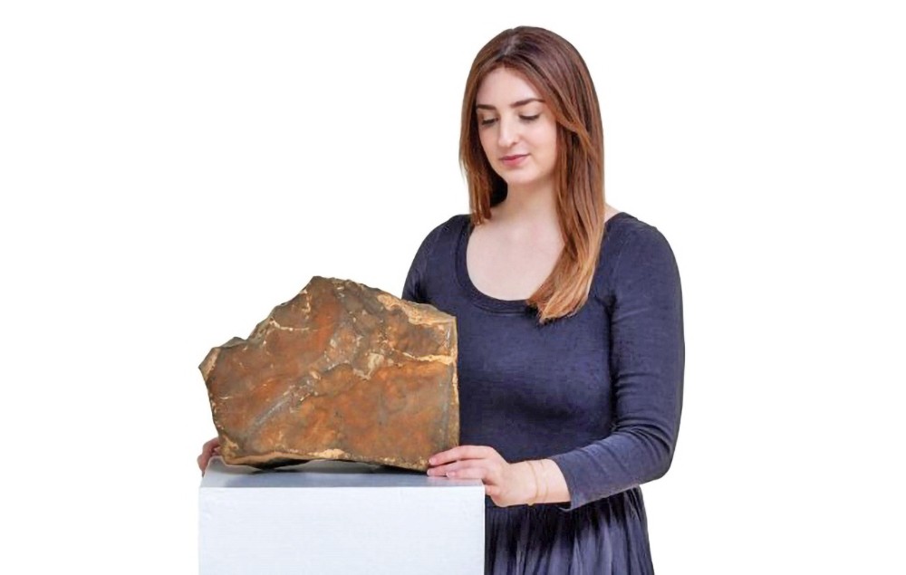 地球上已知最大火星陨石拍卖成交