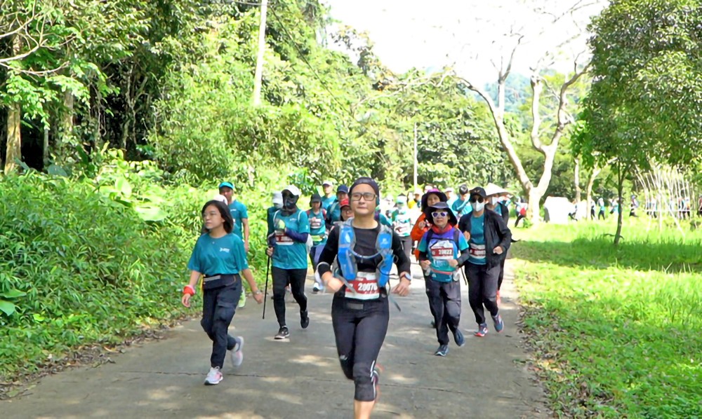 参加菊芳丛林小径跑步竞赛的运动员。