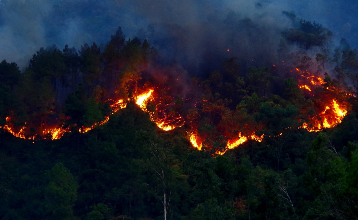 Cơ bản khống chế được đám cháy rừng ở Hà Tĩnh