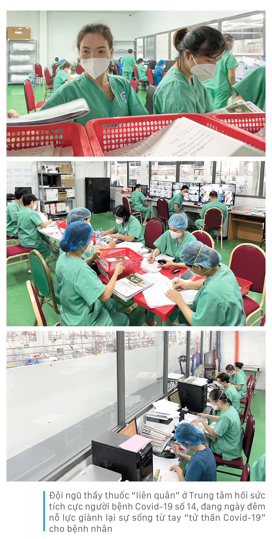 Sự sống từ những ngày “mưa bão” - Bài 5: Hồi sinh ảnh 4 Sự sống từ những ngày “mưa bão” - Bài 5: Hồi sinh ảnh 4