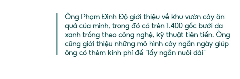Những “ông vua” cây ăn quả ở Hoài Ân, Bình Định ảnh 22 Những “ông vua” cây ăn quả ở Hoài Ân, Bình Định ảnh 22