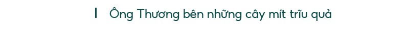 Những “ông vua” cây ăn quả ở Hoài Ân, Bình Định ảnh 7 Những “ông vua” cây ăn quả ở Hoài Ân, Bình Định ảnh 7