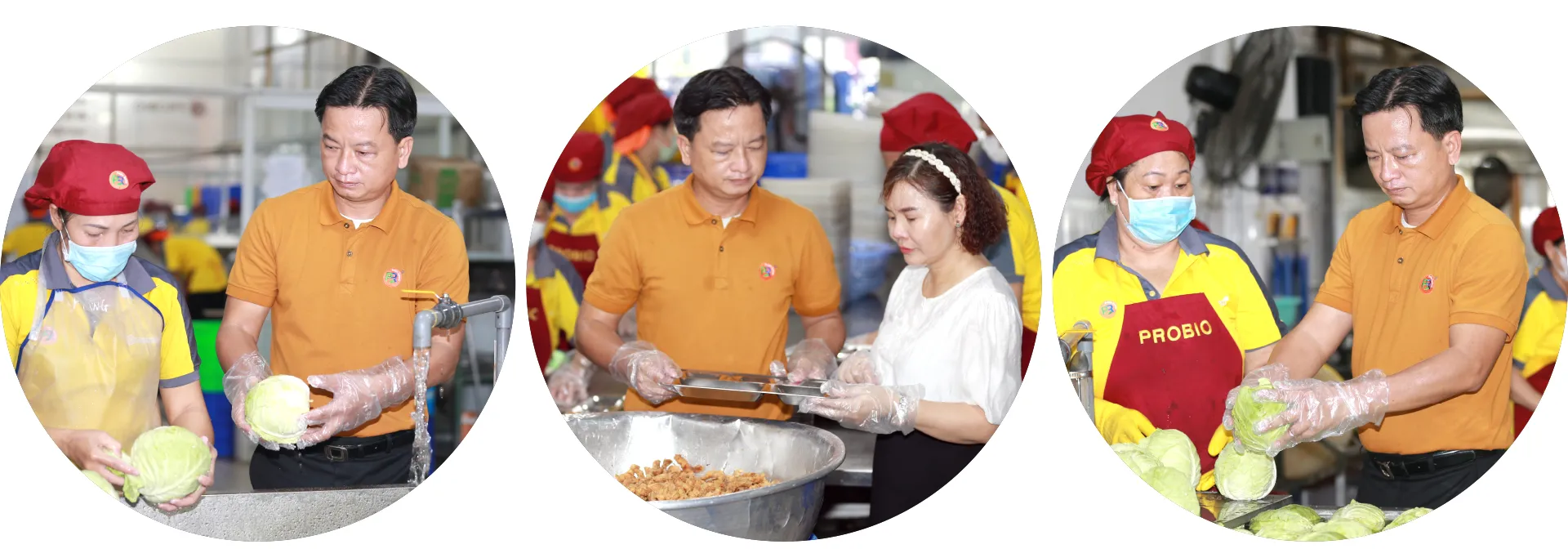 Probio Food-4.jpg