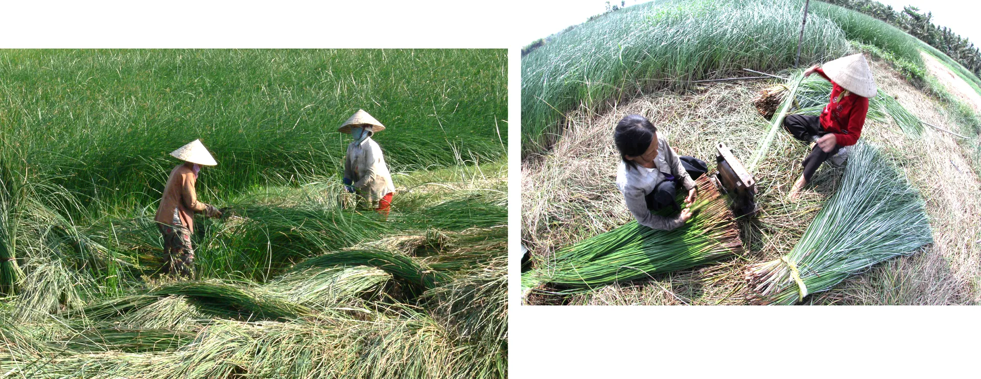 Ảnh: CTV nghe lam chieu-5.jpg