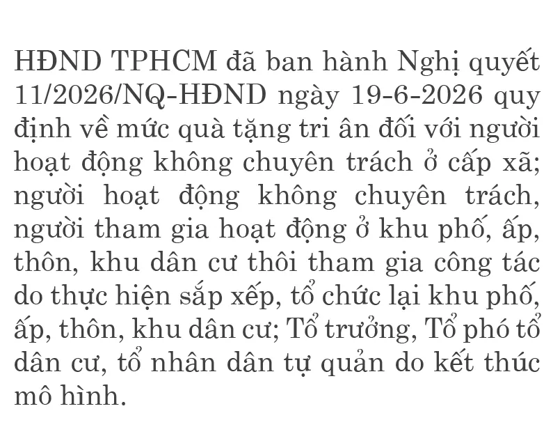 Muc qua tang tri an-1.jpg