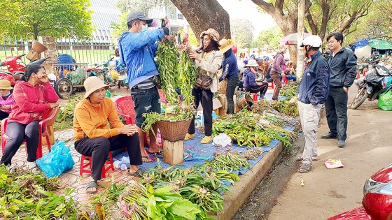 Cạn kiệt lan rừng ảnh 1