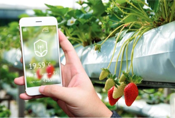 VNPT Smart Agri - “Cánh tay phải” của nông dân thời 4.0 ảnh 1