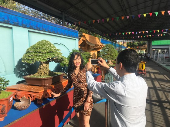 Khai mạc Lễ hội Bonsai – Suiseki Châu Á - Thái Bình Dương tại Khu du lịch Suối Tiên ảnh 3