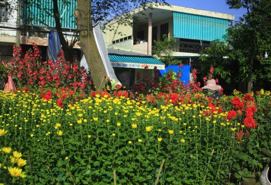 Chợ hoa tết ở Quảng Ngãi ảnh 3