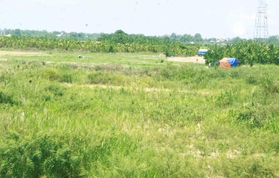 Hội Nghề cá Quảng Ngãi lo lắng nguồn lợi thủy sản, sinh kế dự án Đập dâng hạ lưu sông Trà Khúc ảnh 2