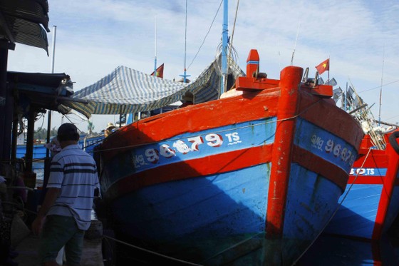 Quảng Ngãi: Chưa thực hiện lắp đặt thiết bị giám sát hành trình tàu cá ảnh 1