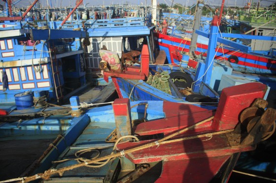 Tàu cá bị mắc kẹt giữa âu thuyền ở Quảng Ngãi ảnh 1