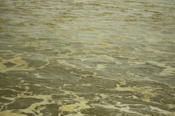 Quảng Ngãi: Nước biển vàng nâu, nổi bọt màu lan rộng đến làng biển Hải Ninh ảnh 7