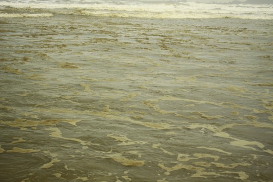 Quảng Ngãi: Nước biển vàng nâu, nổi bọt màu lan rộng đến làng biển Hải Ninh ảnh 10