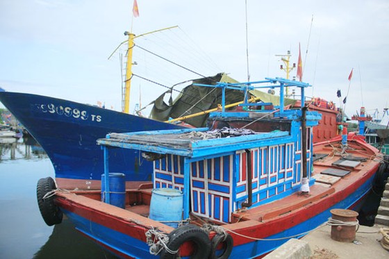 Tàu vỏ thép ở Quảng Ngãi đa số chỉ hư hỏng nhỏ ảnh 1