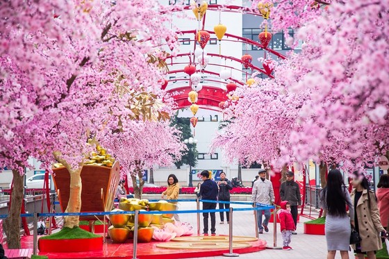 Ngỡ ngàng thấy Tết đã bên thềm cửa ảnh 3