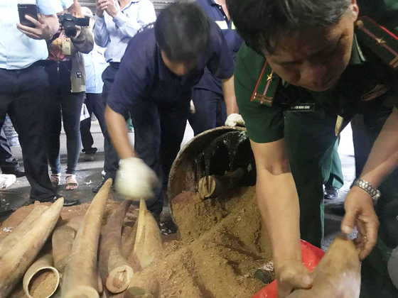 Phát hiện hàng trăm kg ngà voi tại cảng Cát Lái ảnh 1