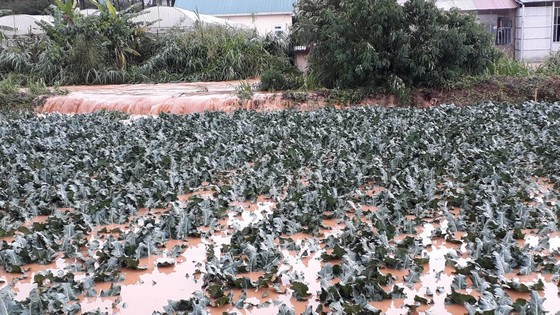 Đà Lạt mưa dữ dội kèm mưa đá, nhiều nơi ngập nặng ảnh 19