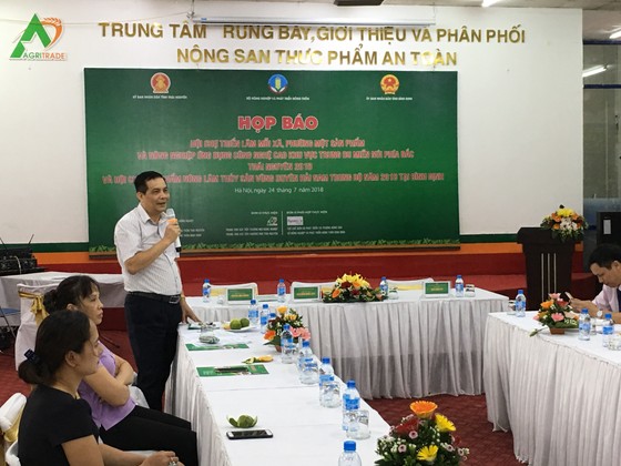 Nhiều nơi trồng hoa để “tự sướng”, thu 20-30 triệu đồng/ngày ảnh 2