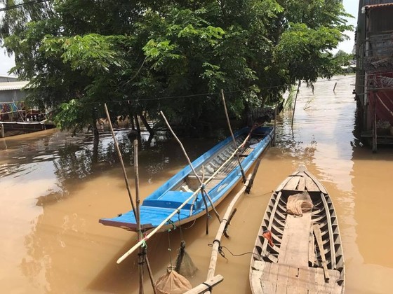Nước lũ ở đồng bằng sông Cửu Long “tạm xuống” rồi lại lên cao ảnh 1