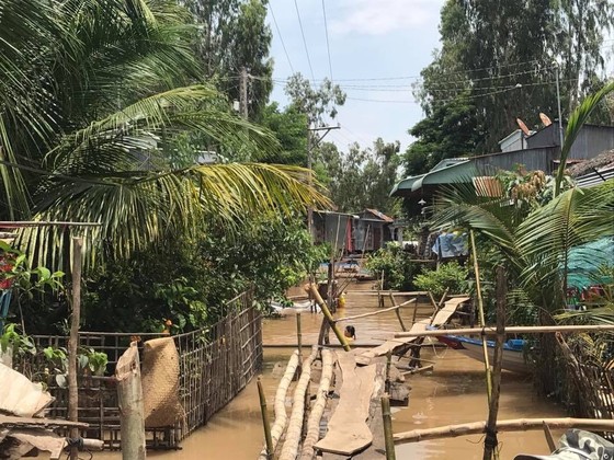 Nước lũ ở đồng bằng sông Cửu Long “tạm xuống” rồi lại lên cao ảnh 2