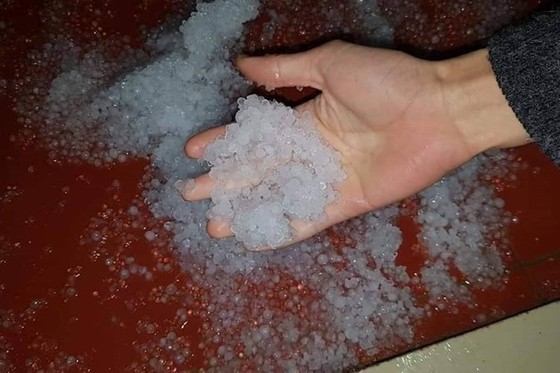 Gió lạnh ập về miền Bắc vào dịp mùng 8-3 ảnh 1