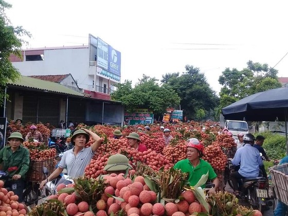 Nắng nóng mới chỉ "khúc dạo đầu" ảnh 3