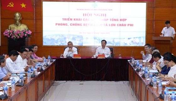 Dịch tả heo châu Phi: 3,3 triệu con heo chết, chỉ còn “sót” tỉnh Ninh Thuận ảnh 1