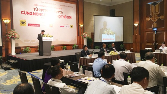 Sáng nay 11-10, “cùng nông dân đi chợ thế giới” ảnh 1