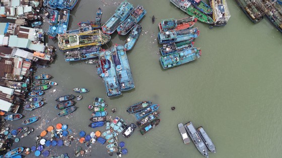 Bão nhỏ mà lúng túng, Phó Thủ tướng yêu cầu rút ngay kinh nghiệm ảnh 2