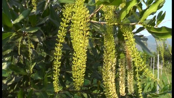 Cách hết chức vụ trong Đảng đối với Trưởng phòng TN-MT huyện Hướng Hóa, Quảng Trị ảnh 1