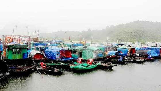 Bão số 3 đổ bộ vào Quảng Ninh ảnh 1