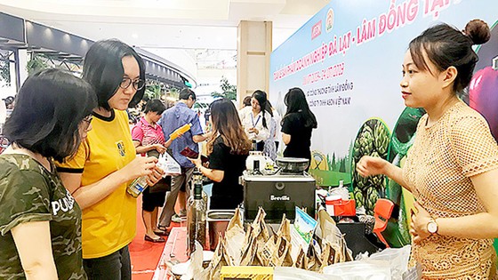 Xúc tiến sản phẩm của Lâm Đồng vào TPHCM ảnh 3