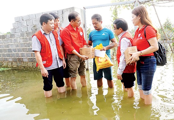 Lo mưa lũ, dịch bệnh hoành hành ảnh 1