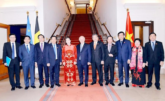 Việt Nam sẽ xem xét kỹ lưỡng những khuyến nghị của EU, EP ảnh 1