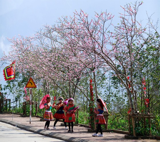 Khai hội xuân mở cổng trời Fansipan, du khách nô nức về chiêm bái xá lợi Phật trên đỉnh thiêng ảnh 12