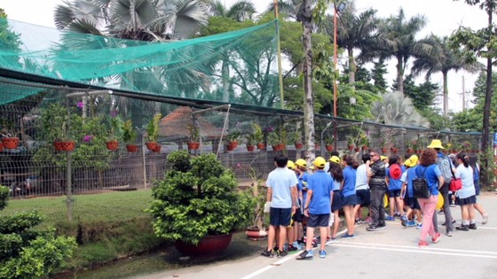 Học sinh trường Quốc tế Nam Sài Gòn tham quan VWS ảnh 4