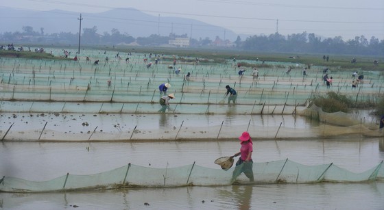 Mảnh đất 'kỳ nhân' ảnh 2