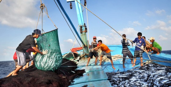 Kinh tế thuần biển đóng góp 10% GDP ảnh 1