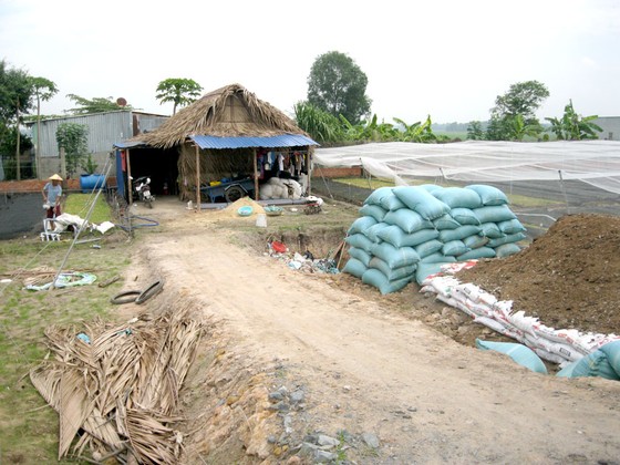 An Phú Hưng sau 2 năm xóa treo ảnh 4