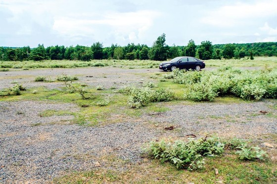 Phan Thiet Airport project causing land fever ảnh 1