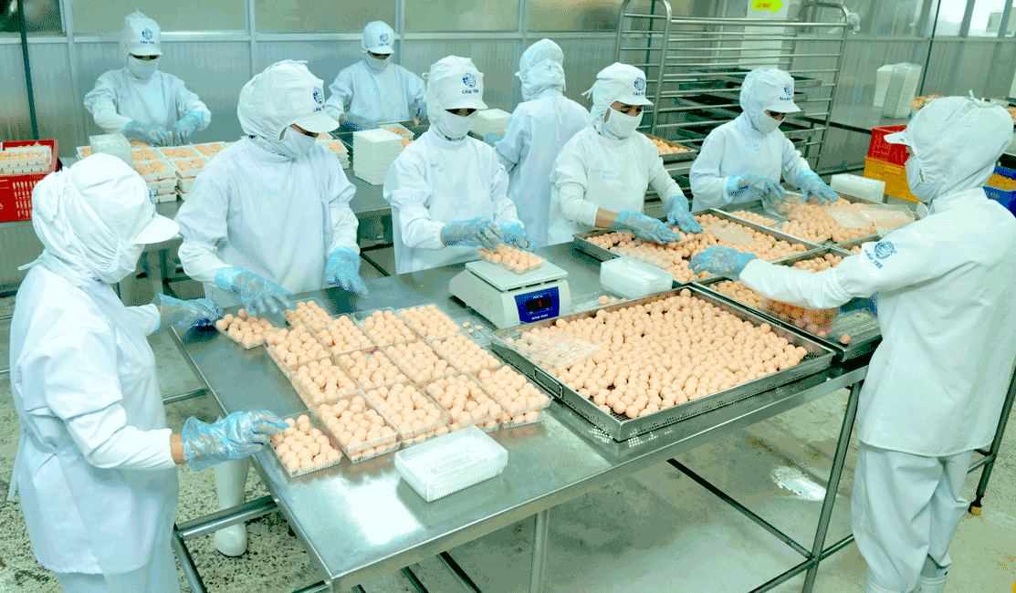 Thu hút vốn FDI vào công nghiệp chế biến ảnh 1