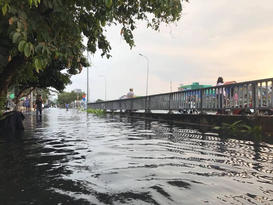 Phó Chủ tịch UBND TPHCM thăm hỏi, động viên người dân sau sự cố vỡ bờ bao ở quận 8 ảnh 14