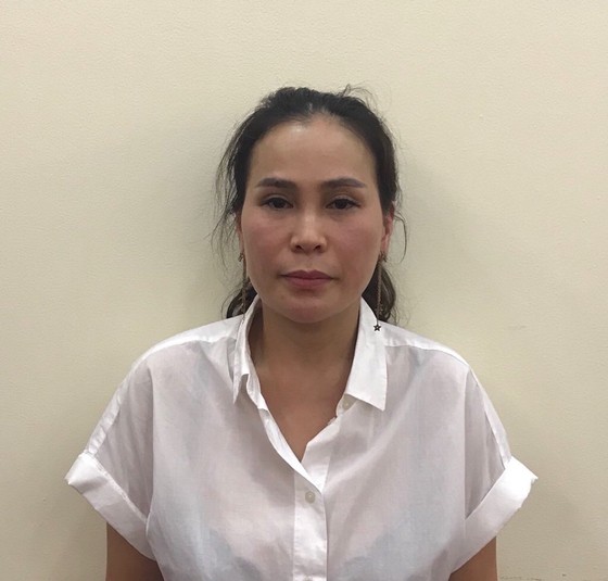 Khởi tố, bắt giam 2 người phụ nữ liên quan đến khu đất 'vàng' số 8-12 Lê Duẩn ảnh 2